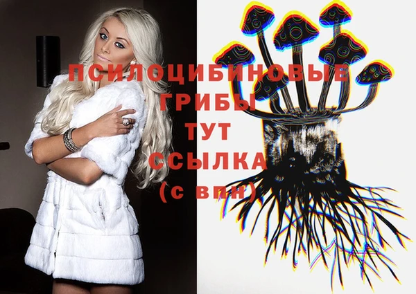 МДПВ Армянск